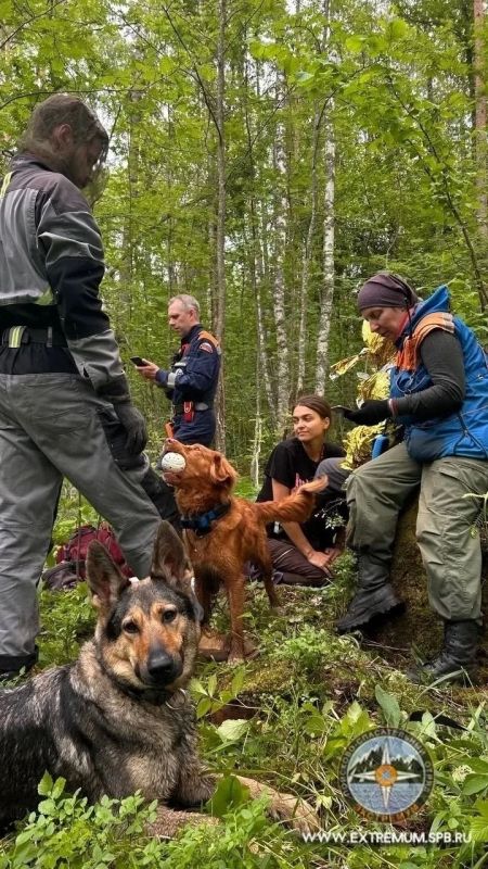 Трое суток в лесу: пропавшую в Ленобласти бабушку нашли живой Трое суток в лесу: пропавшую в Ленобласти бабушку нашли живой