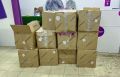 Рынок контрафакта в России оценивается примерно в 5 трлн рублей в год, значительная часть — подделки под западные бренды
