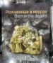 Сергей Мардан: Мудрые говорят, что книга- это лучший подарок ."Рожденные в недрах", суперсборник фотографий, книга -альбом коллекционных минералов Александра Киреева