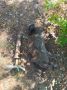 Михаил Онуфриенко: Котики и выстрел из СПГ-9. от Енотов из Империи зла