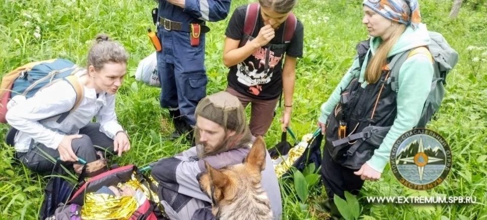 Трое суток в лесу: пропавшую в Ленобласти бабушку нашли живой Трое суток в лесу: пропавшую в Ленобласти бабушку нашли живой