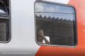 Белгородские поезда остановили в Курской области из-за работы силовиков