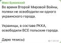Юлия Витязева: Буданов отказался от польской награды — Золотого офицерского креста ордена «За заслуги перед Польшей»