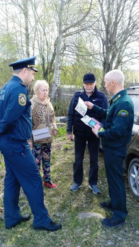 В Ленобласти ликвидировали 47 лесных пожаров В Ленобласти ликвидировали 47 лесных пожаров