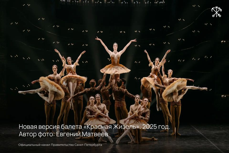 Новый выставочный комплекс для Театра балета Бориса Эйфмана построят в переулке Декабристов Новый выставочный комплекс для Театра балета Бориса Эйфмана построят в переулке Декабристов