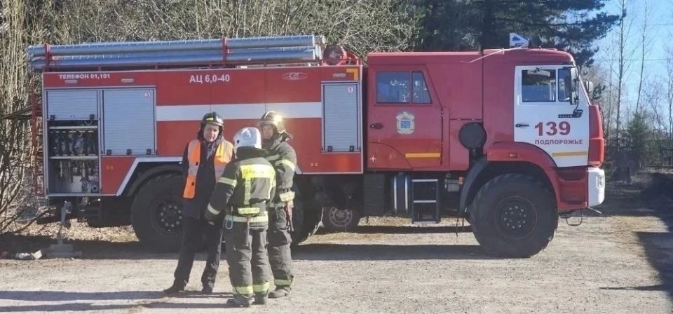 В Ленобласти ликвидировали 47 лесных пожаров В Ленобласти ликвидировали 47 лесных пожаров