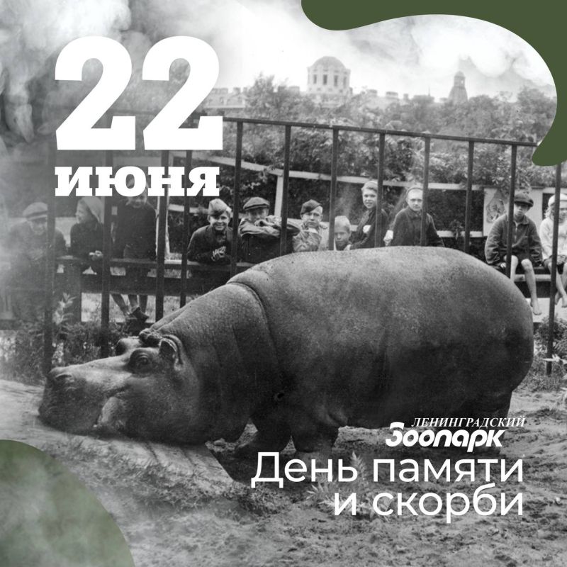 Всю Великую Отечественную войну в Ленинграде существовал зоологический сад