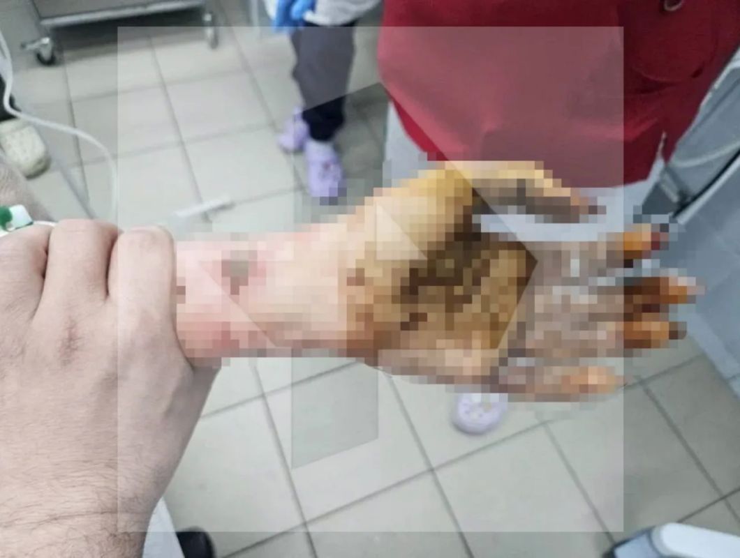 ОСТОРОЖНО, ЖЕСТКИЕ КАДРЫ. 18+ ОСТОРОЖНО, ЖЕСТКИЕ КАДРЫ. 18+