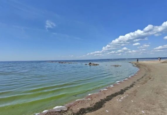 Ребёнок уплыл на сапе и пропал в Сестрорецком разливе