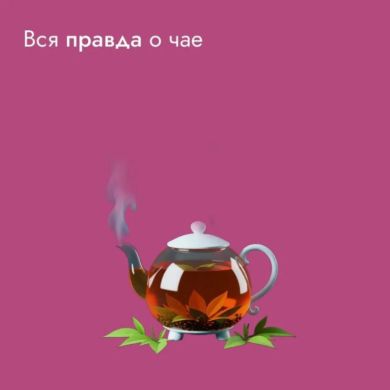Ароматный листовой напиток наравне с водой и кофе – один из самых популярных в мире, а уж тем более по утрам