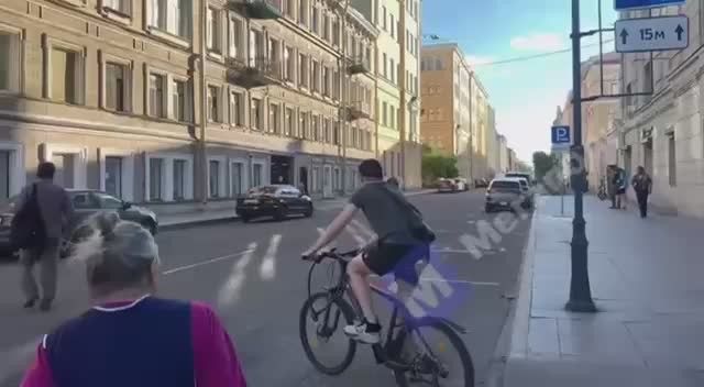 Сбежавшая лошадь устроила скачки у «Технологического института»