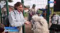 На Валааме проходят реабилитацию семьи бойцов СВО