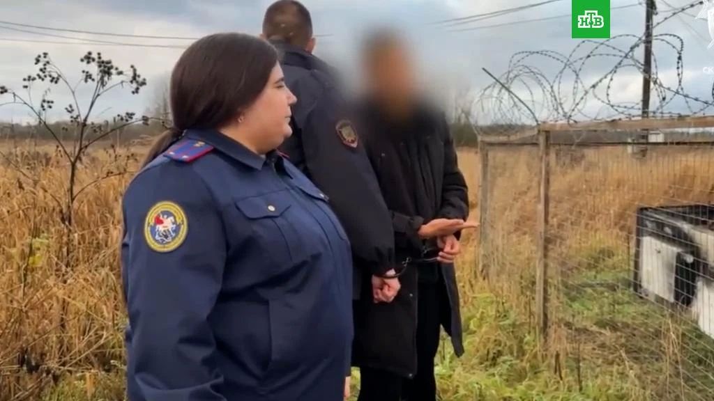 Областной суд отправил в колонию подростка за поджог вышки сотовой связи в Гатчинском районе