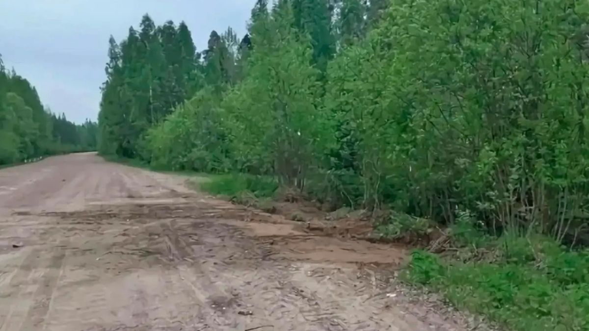 Две крупные несанкционированные свалки ликвидировали в Ленобласти Две крупные несанкционированные свалки ликвидировали в Ленобласти