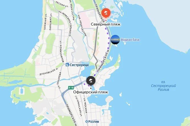 В Сестрорецке ищут мальчика, который уплыл на сапе
