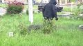 Юлия Витязева: ФСБ задержала двух женщин (