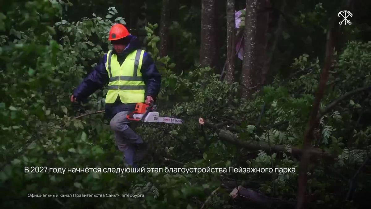 Пейзажный парк в Красногвардейском районе готовят к благоустройству