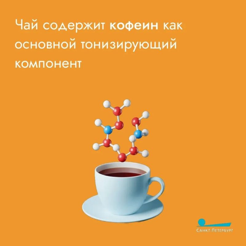 Ароматный листовой напиток наравне с водой и кофе – один из самых популярных в мире, а уж тем более по утрам Ароматный листовой напиток наравне с водой и кофе – один из самых популярных в мире, а уж тем более по утрам