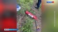 Задержан подозреваемый в поджоге дизель-поезда в депо Петербург-Балтийский