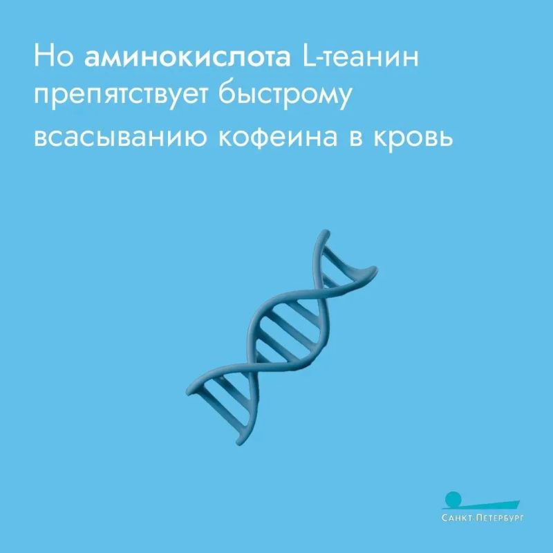 Ароматный листовой напиток наравне с водой и кофе – один из самых популярных в мире, а уж тем более по утрам Ароматный листовой напиток наравне с водой и кофе – один из самых популярных в мире, а уж тем более по утрам