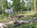 В сквере рядом с дацаном начали вырубать деревья