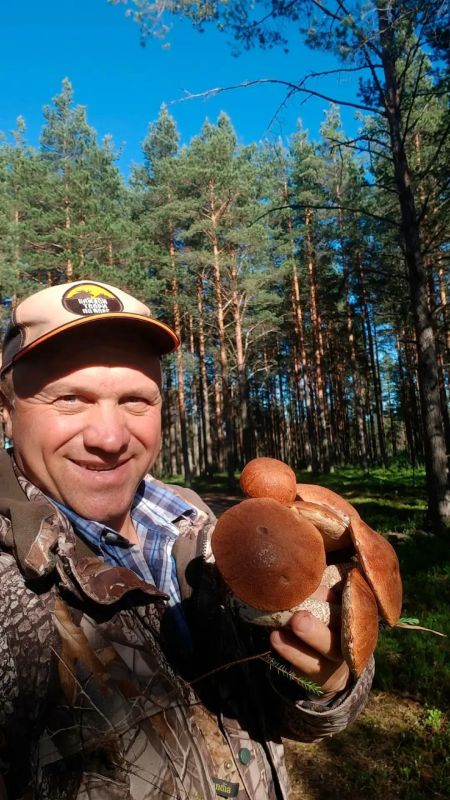 Во Всеволожском районе Ленинградской области начался сезон летних грибов Во Всеволожском районе Ленинградской области начался сезон летних грибов