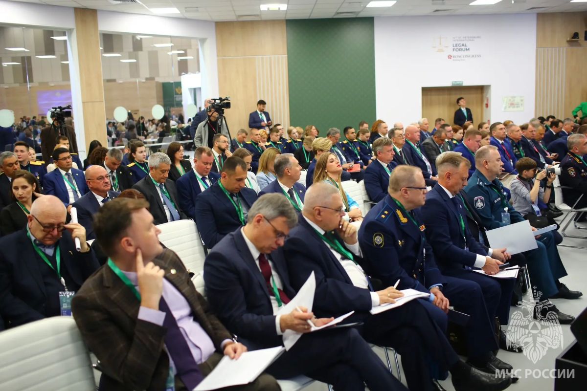 Делегация МЧС России принимает участие в XIV Петербургском международном юридическом форуме Делегация МЧС России принимает участие в XIV Петербургском международном юридическом форуме