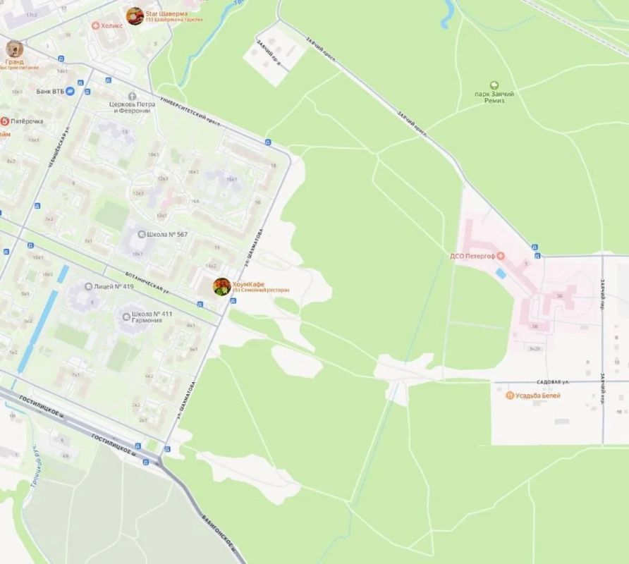 В Петергофе хотят создать новый парк — в память о защитниках Ораниенбаумского плацдарма