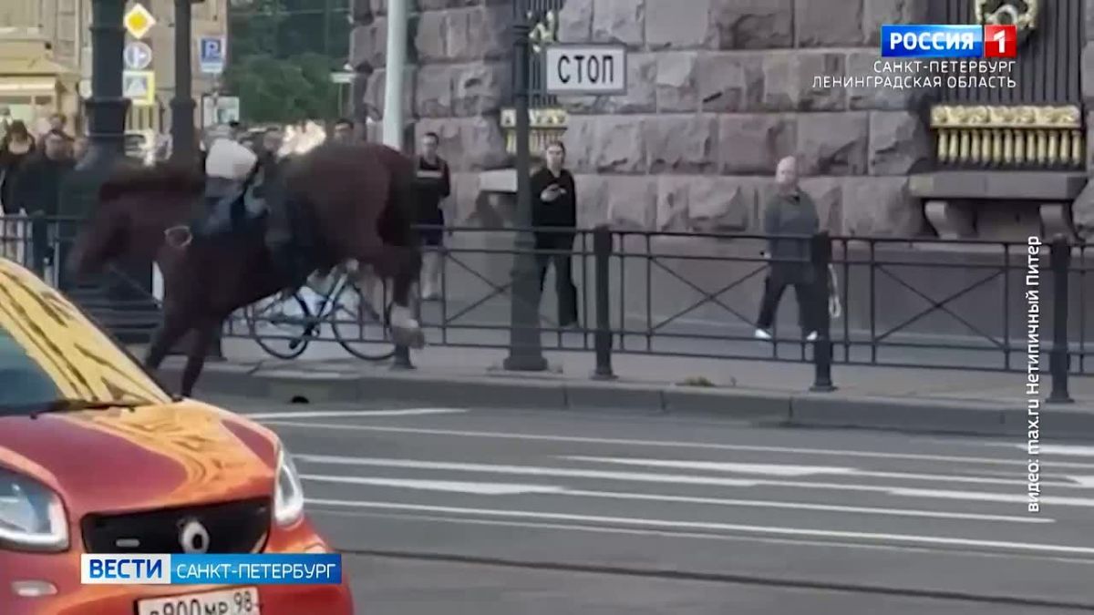 Лошадь, напугавшая пешеходов у Троицкого собора, сбросила наездницу