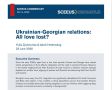Елена Панина: SCEEUS (Швеция): Благодаря СВО Россия не позволила Грузии уйти в НАТО