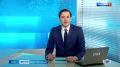 Трех спасённых нерп выпустили в Ладогу