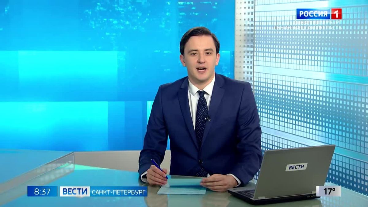 Трех спасённых нерп выпустили в Ладогу