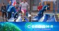������������� ������ ��������� �� ���������� ������� ��������� �������������� �� ������� ��������
