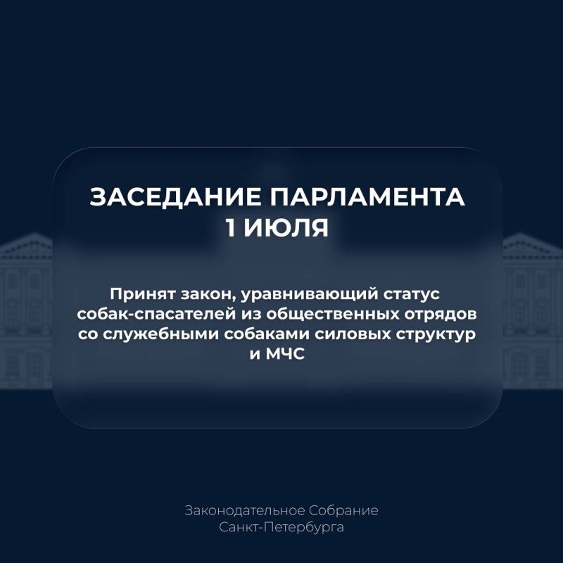 Депутаты окончательно приняли закон, который уравнивает правовой статус собак, работающих в поисково-спасательных отрядах общественных организаций, со служебными собаками силовых структур и МЧС