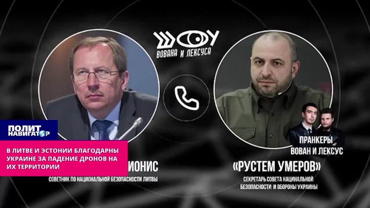 В Литве и Эстонии благодарны Украине за падение дронов на их территории
