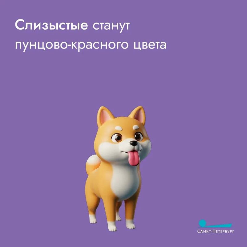 Жаркое лето – пора непростая Жаркое лето – пора непростая