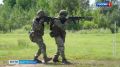 Бойцы Росгвардии Северо-Западного округа открыли летний сезон спецподготовки