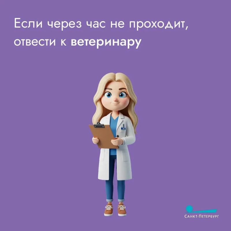 Жаркое лето – пора непростая Жаркое лето – пора непростая