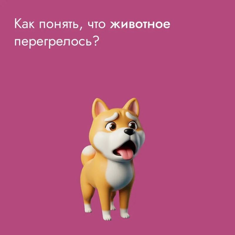 Жаркое лето – пора непростая