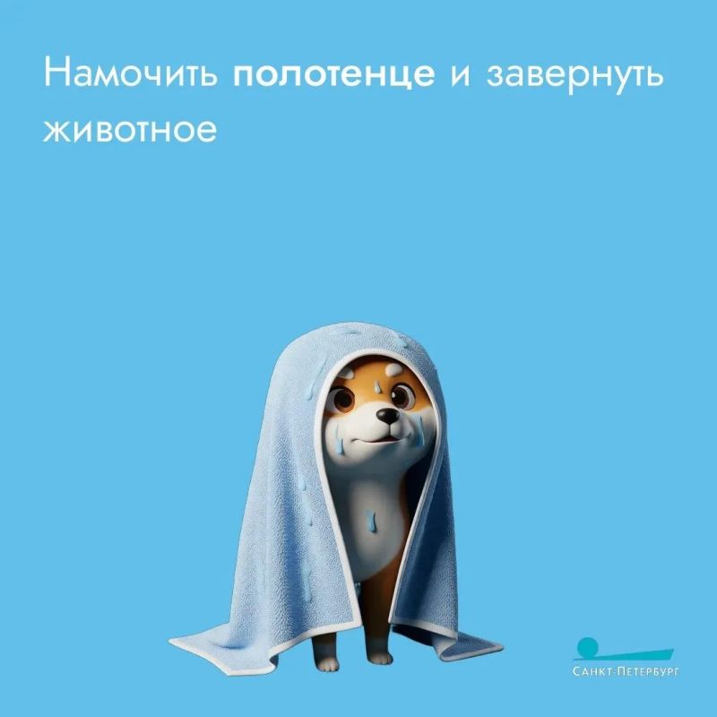 Жаркое лето – пора непростая Жаркое лето – пора непростая