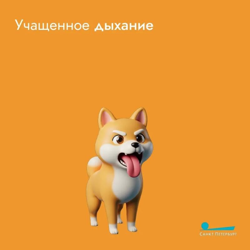 Жаркое лето – пора непростая Жаркое лето – пора непростая