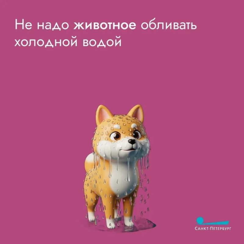 Жаркое лето – пора непростая Жаркое лето – пора непростая