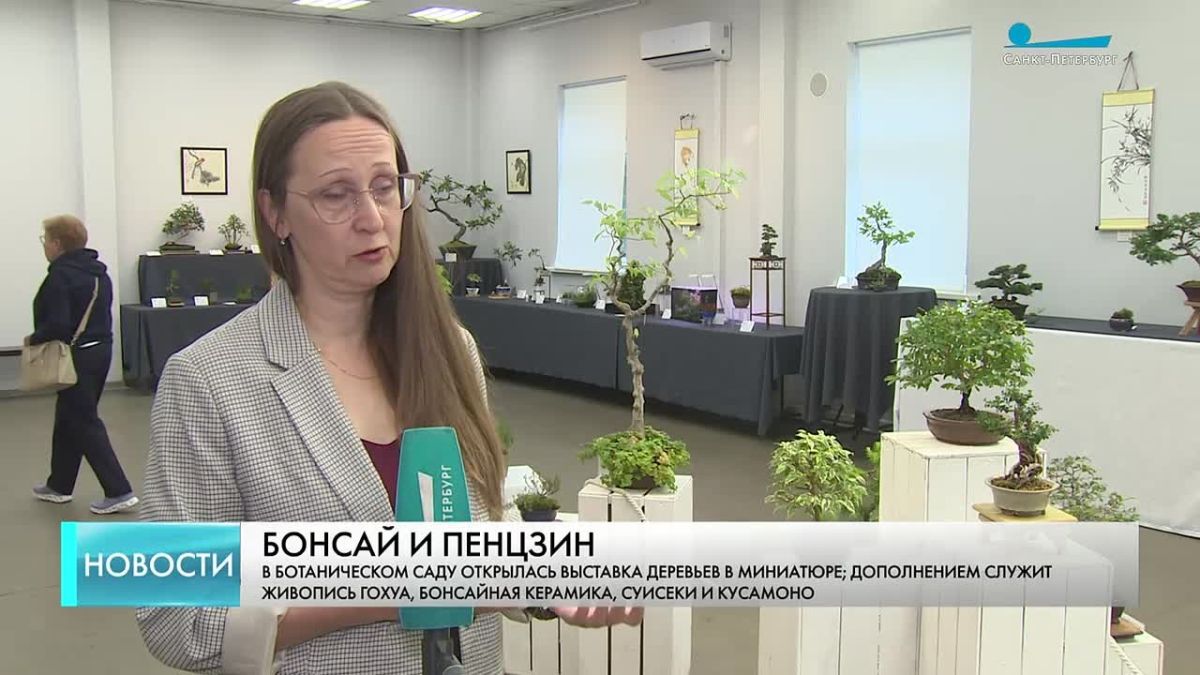 Маленькие деревья большого города – в Ботаническом саду открыли выставку бонсай