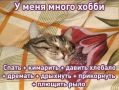 ������ ����������: �� ������ ��������. ��������� ������� ������� �������� �����