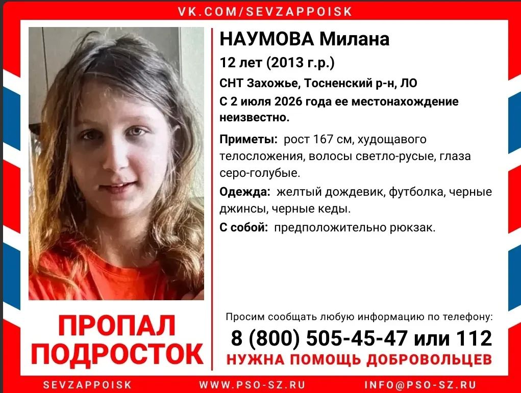 «Пошла за лисичками и пропала»: в Тосненском районе ищут 12-летнюю девочку