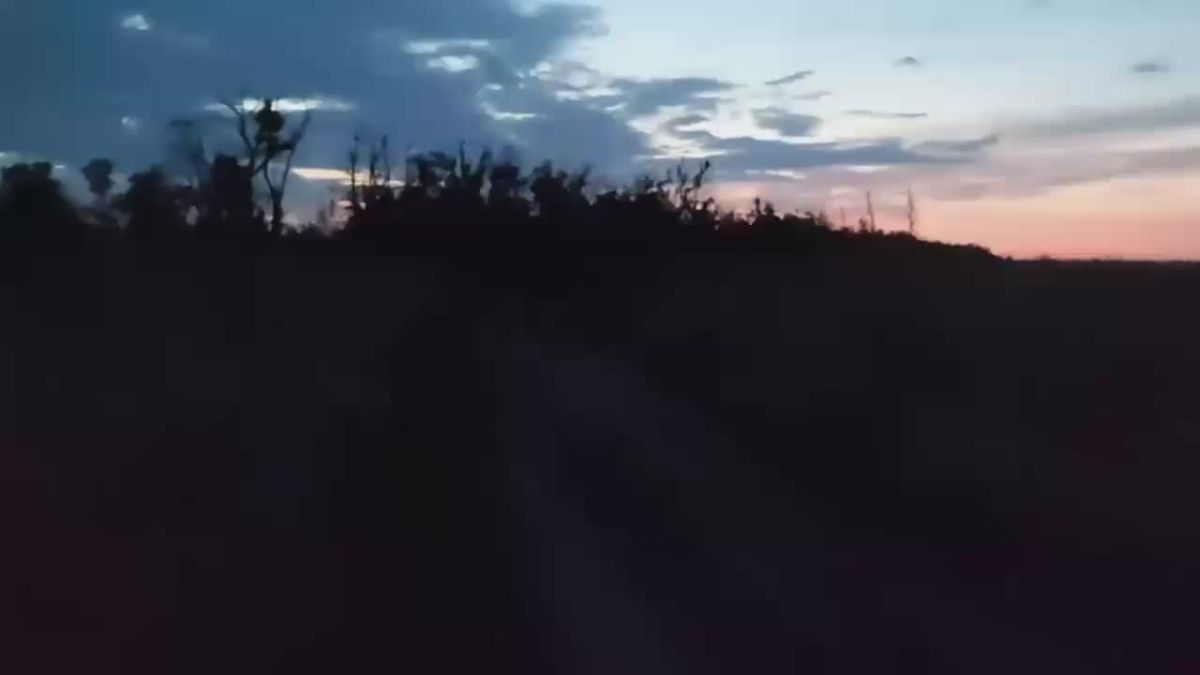 Александр Коц: Русские флаги над Александровкой