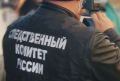 Пропавшую в лесу девочку нашли мёртвой с ранениями на теле