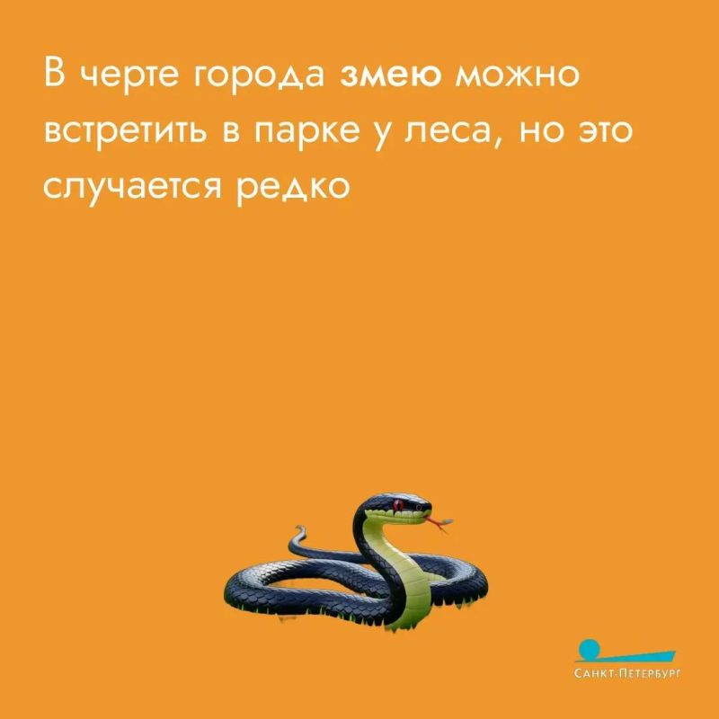 Любите прогулки на природе? Любите и встречи с «местными жителями» Любите прогулки на природе? Любите и встречи с «местными жителями»