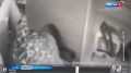 Cуд изберет меру пресечения женщине, ударившей фельдшера cкорой