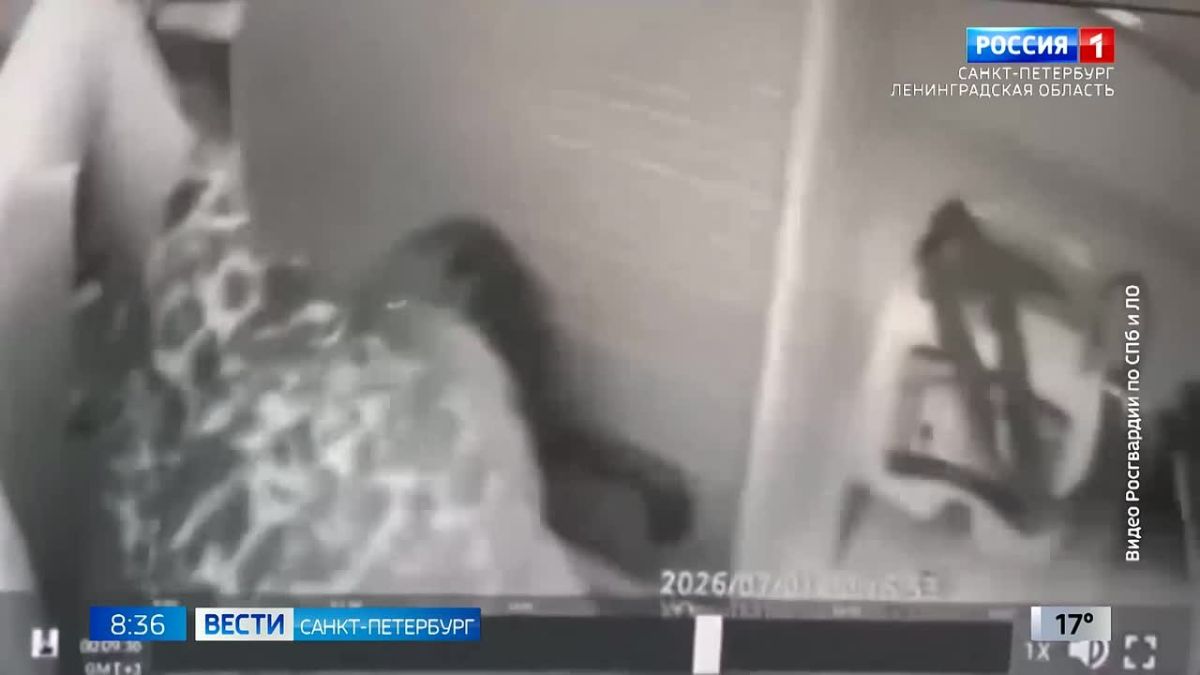 Cуд изберет меру пресечения женщине, ударившей фельдшера cкорой